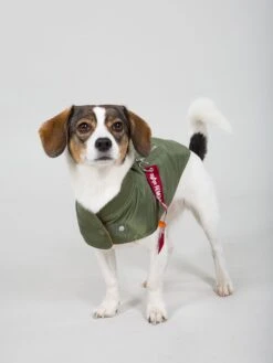 Alpha Industries Dog MA-1 -Deals Simple Men Wear Store 163901 01 1