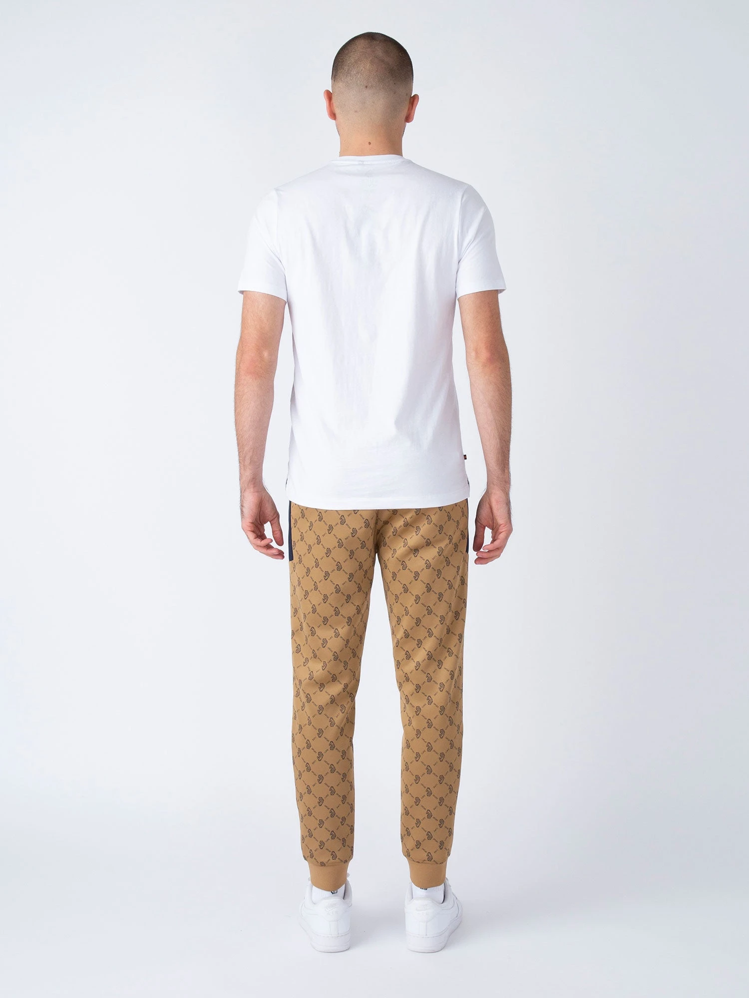 LIONS DEN & GOLDEN BALLS SET 4 LIONS DEN & GOLDEN BALLS SET - Image 4