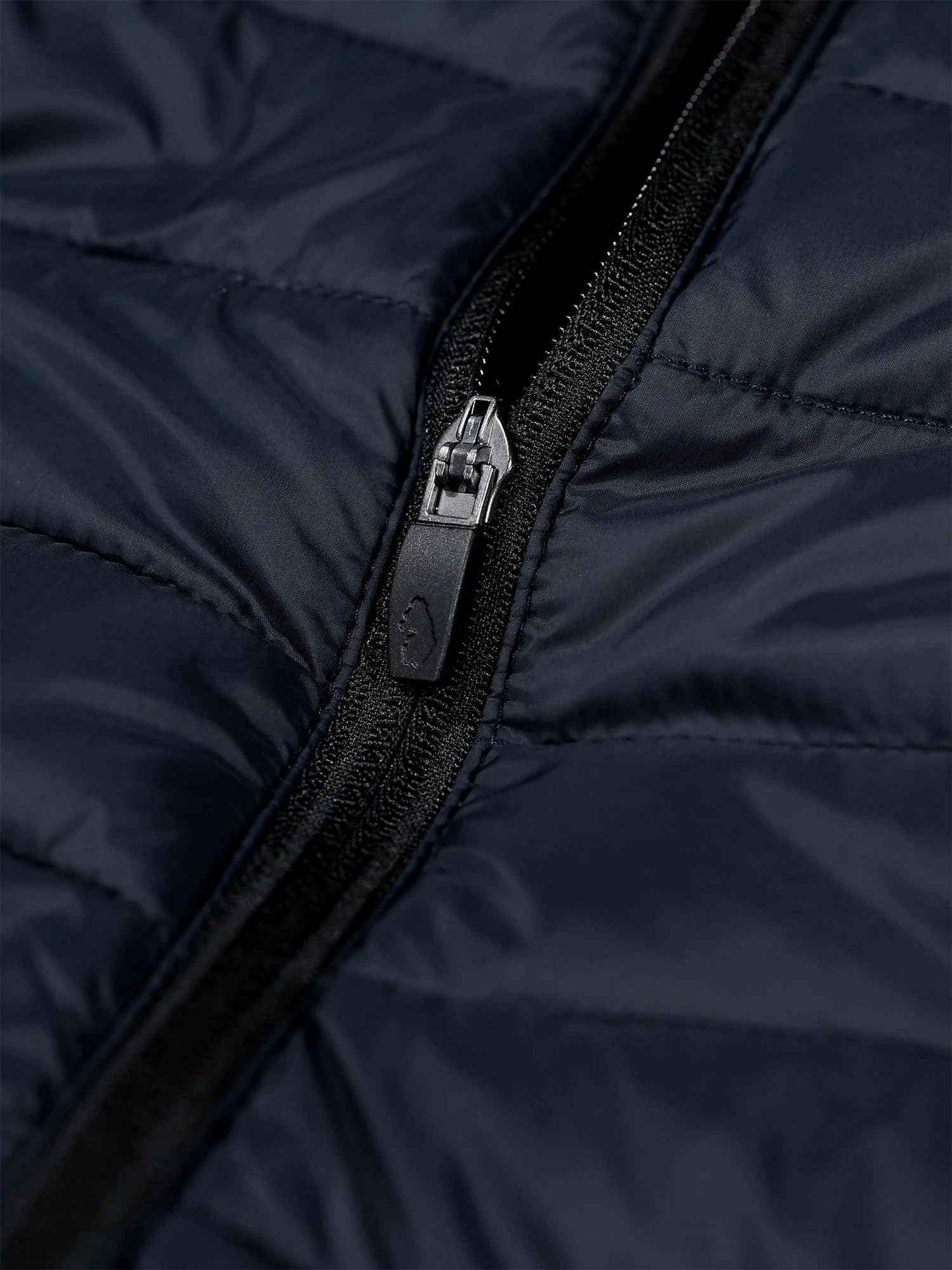 TEAM PADDED JACKET 6 TEAM PADDED JACKET - Image 6