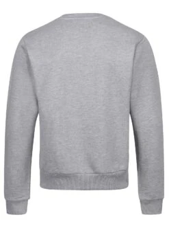 Modern Amusement HOLLYWOOD CROW SWEATSHIRT -Deals Simple Men Wear Store MO650304 grey 5